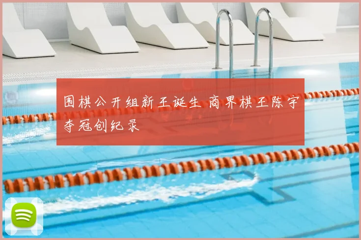 围棋公开组新王诞生 商界棋王陈宇夺冠创纪录