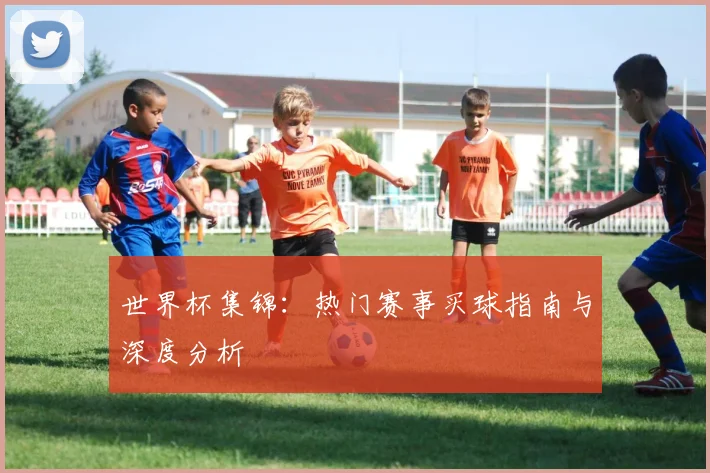 世界杯集锦：热门赛事买球指南与深度分析