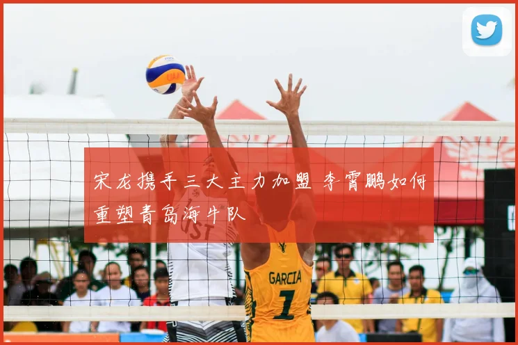 宋龙携手三大主力加盟 李霄鹏如何重塑青岛海牛队
